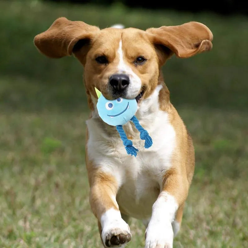 Blue and yellow cartoon dog squeaky toys with strong knot design and cotton rope texture