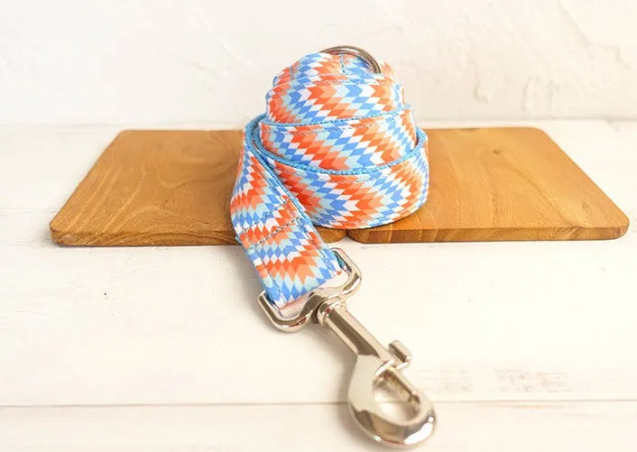 Orange and blue polyester money loop dog leash set on a white background