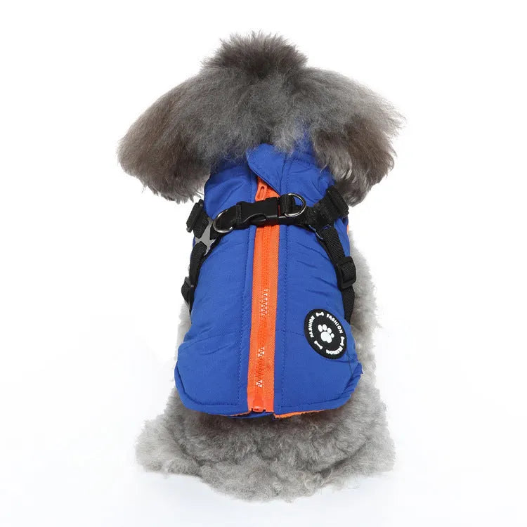 Dog wearing chest strap jacket with cotton padding and polyester outer fabric