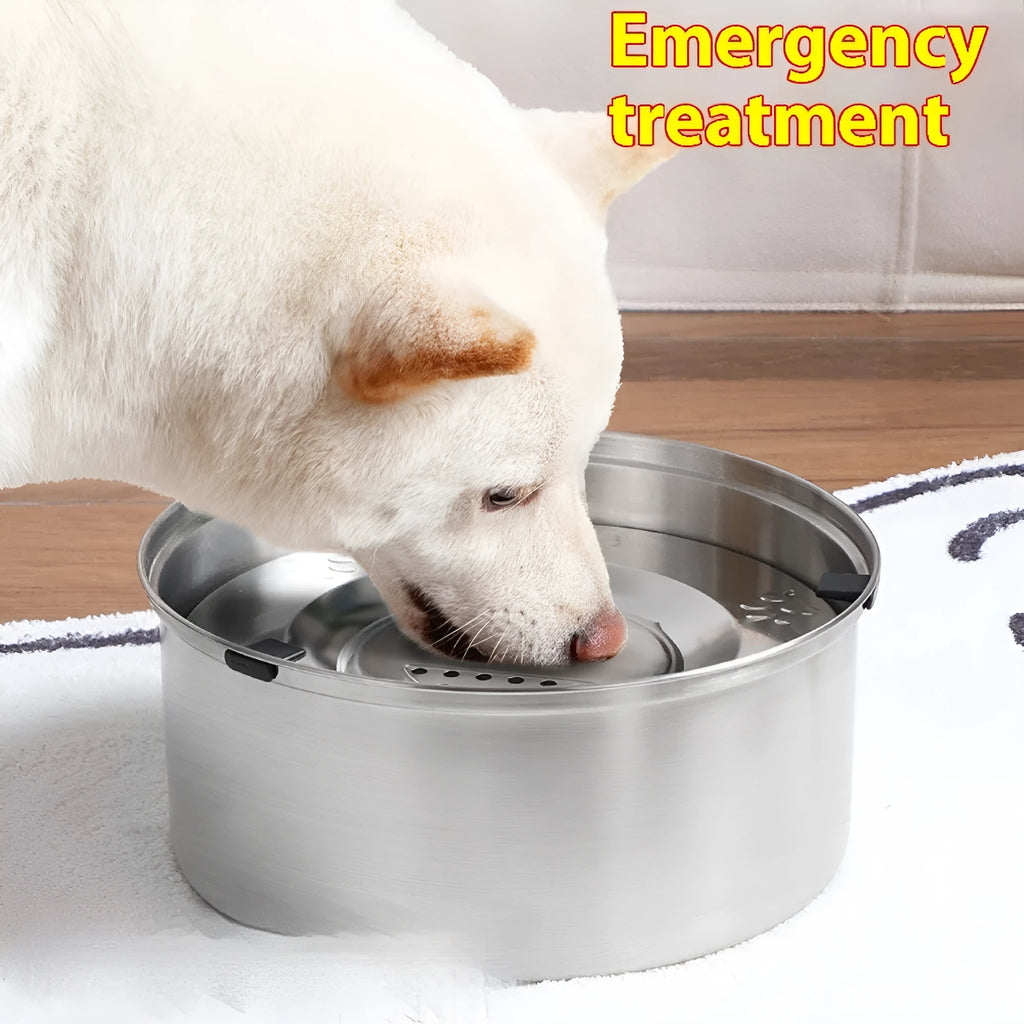 Silver stainless steel pet drinking bowl with wide opening, suitable for dogs and cats, large capacity option