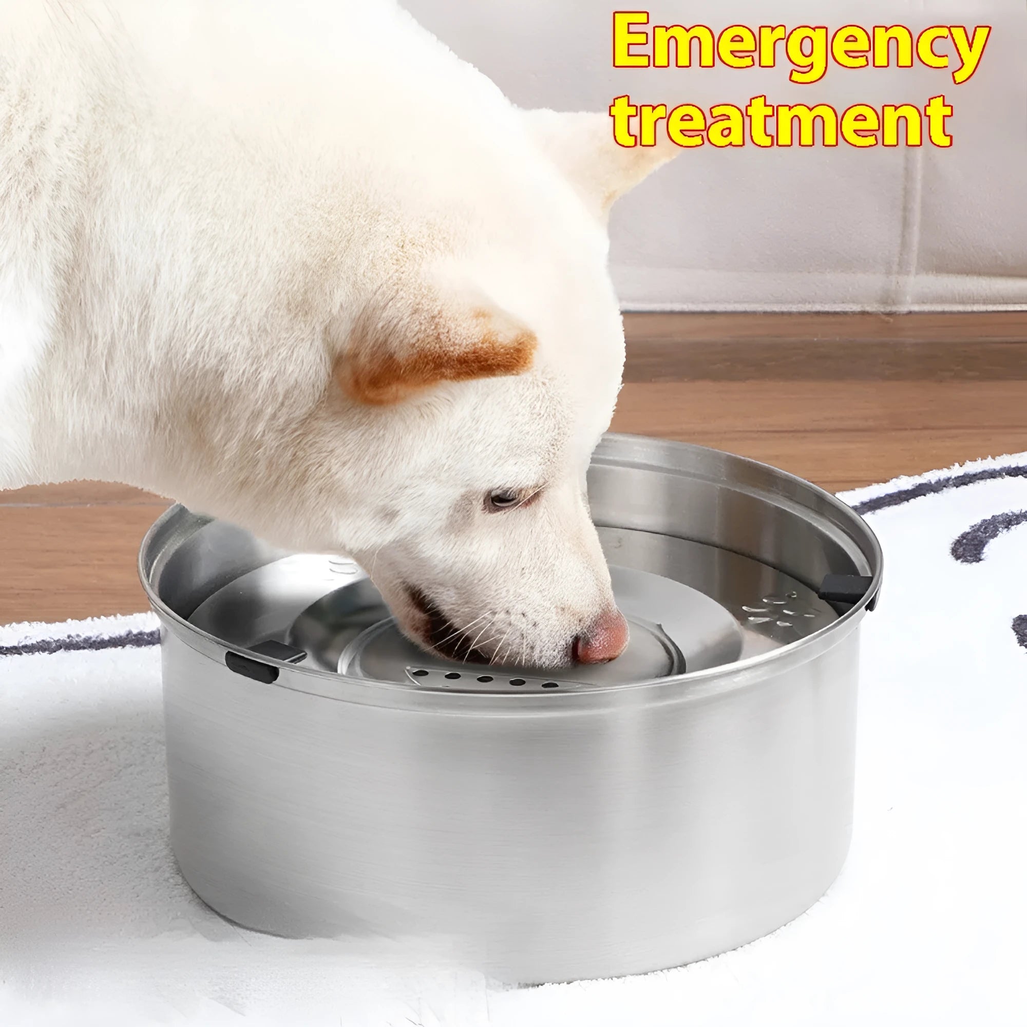 Silver stainless steel pet drinking bowl with wide opening, suitable for dogs and cats, large capacity option