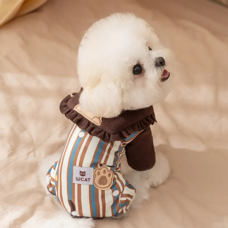 Small brown dog wearing a blue and brown striped onesie with ruffled collar and bear patch