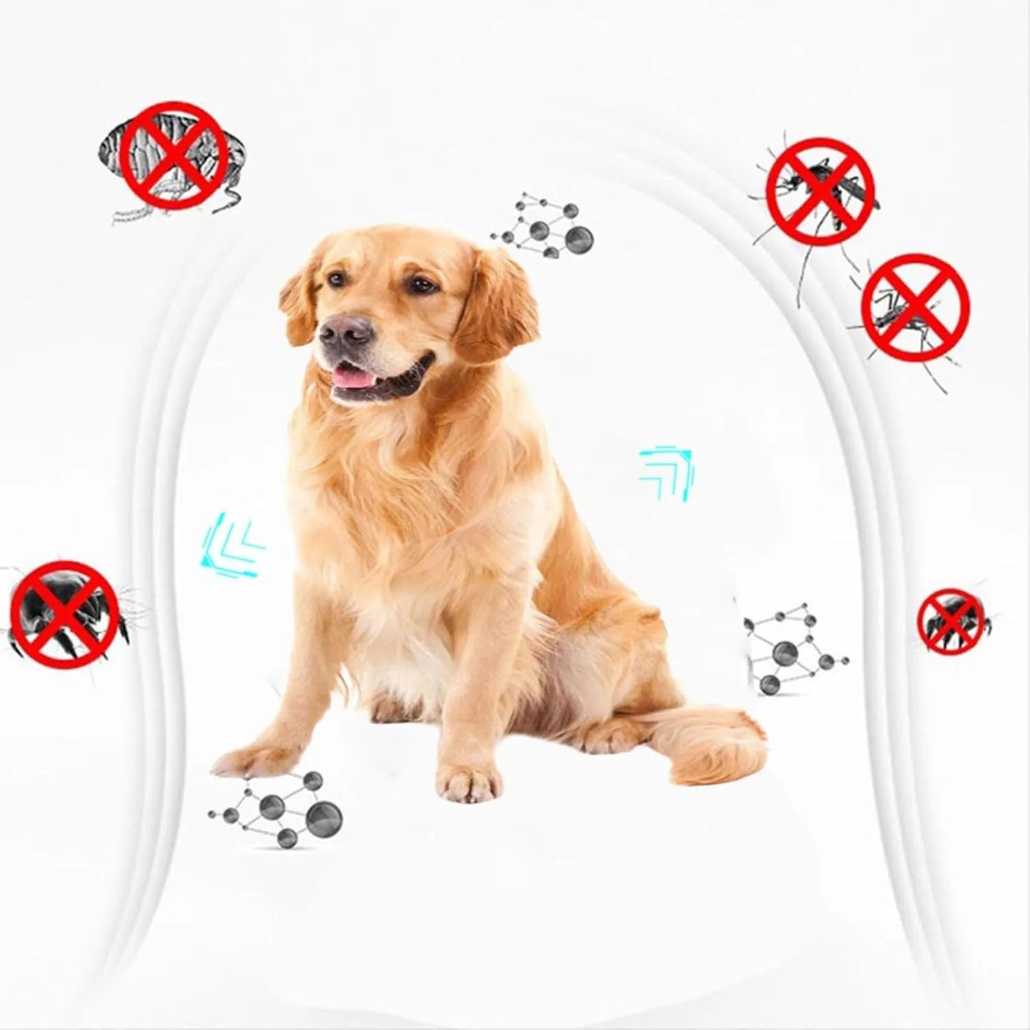 Double-sided plastic flea comb for pets on a white background, showing dense teeth and compact 8.5 cm size.