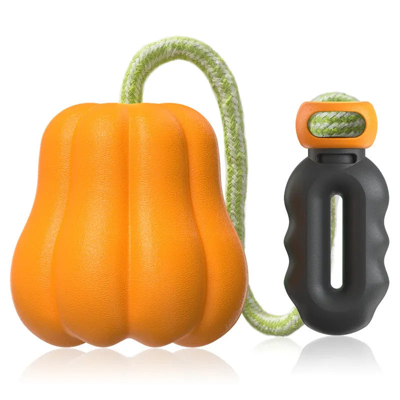 Bite Molar durable plastic dog toy in single pumpkin colour with an attached rope for fetching.
