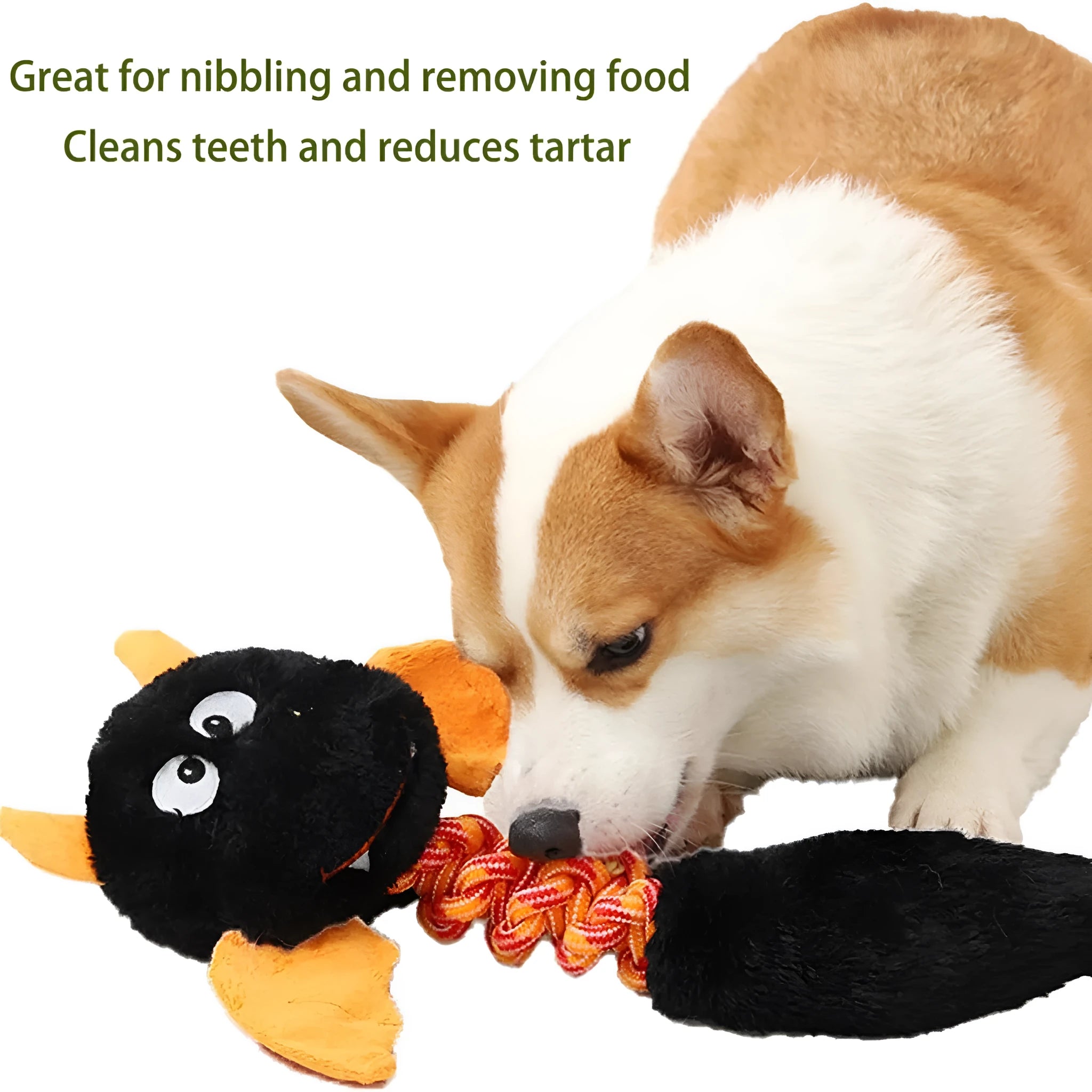 Large black, green, or red plush dog toy with cartoon design, squeaker, and rope knot.