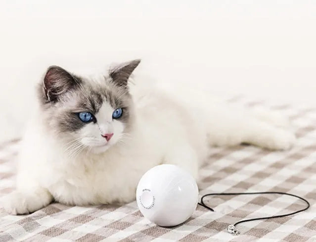 Smart automatic cat toy ball 7.2cm diameter with infrared laser on floor