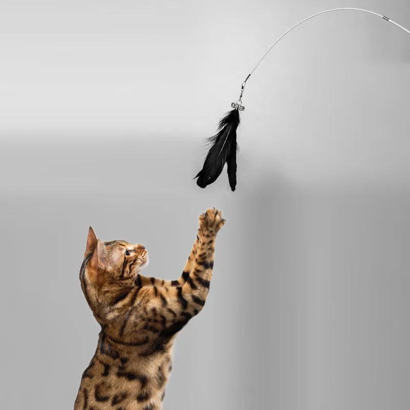 Telescopic cat fishing rod toy with goose feather lures and a bell, shown extended and collapsed.