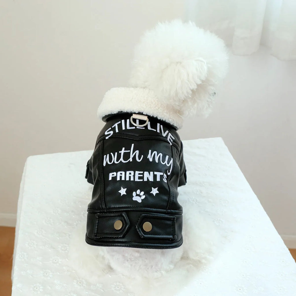 Fleece lined padded dog coat in black colour showing chest measurement and length dimensions