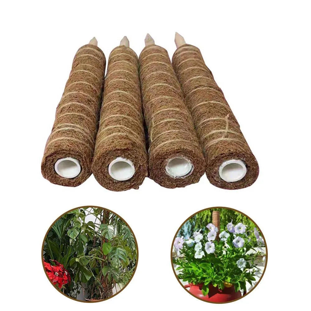 Green radish coconut palm stick with natural coconut moss fibre, wooden pole, and rope wrapping for indoor climbing plant support