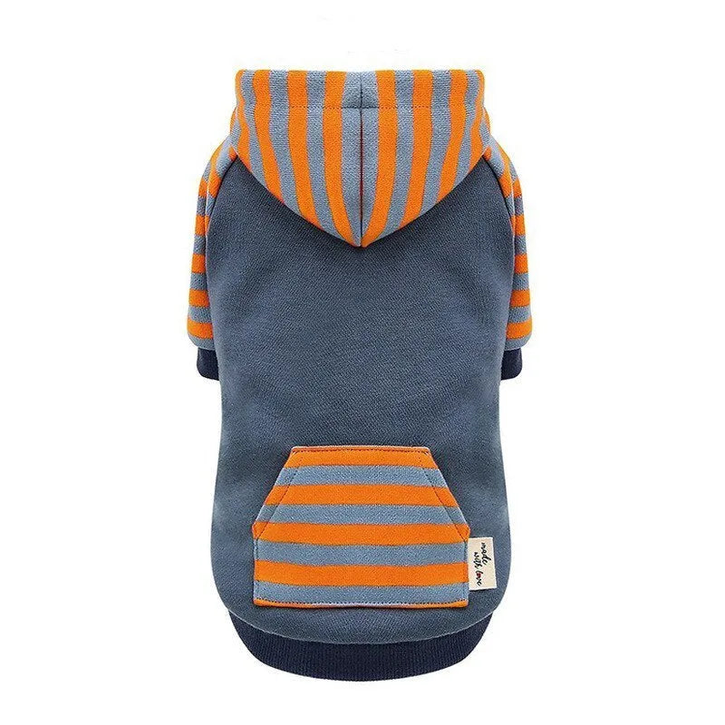 Royal blue hooded cotton dog sweater for small dogs, sizes L and XL