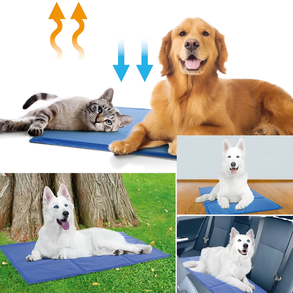 Blue dog cooling mat with ice crystal filling placed on a floor - pressure activated cooling pad for summer