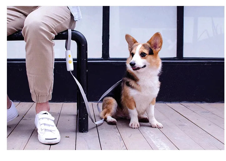 LIUTA adjustable elastic dog leash with reflective strip, ABS handle, and lock button for small medium dogs