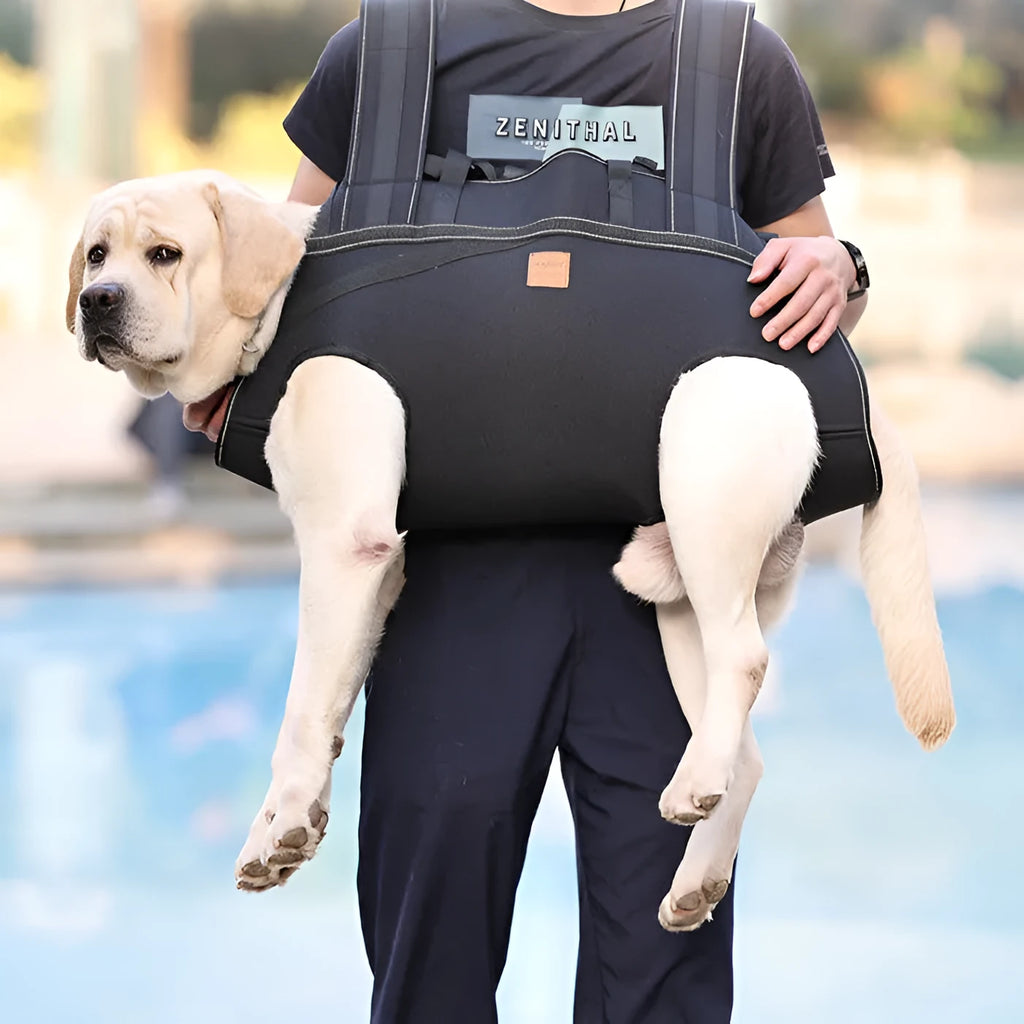 Black Oxford cloth dog backpack for medium to large dogs with soft construction