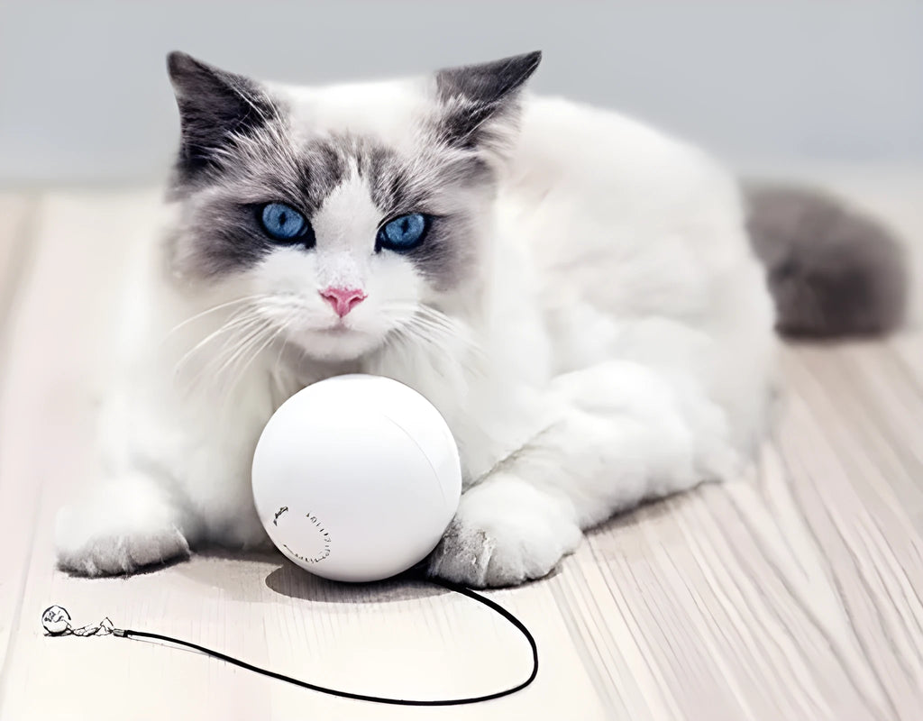 Smart automatic cat toy ball 7.2cm diameter with infrared laser on floor