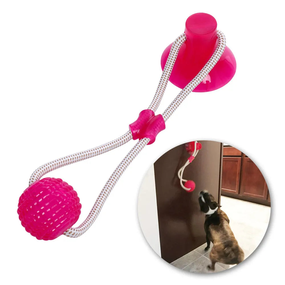 Pet dog rubber sucker molar toy in five colours blue green orange purple red on a light background