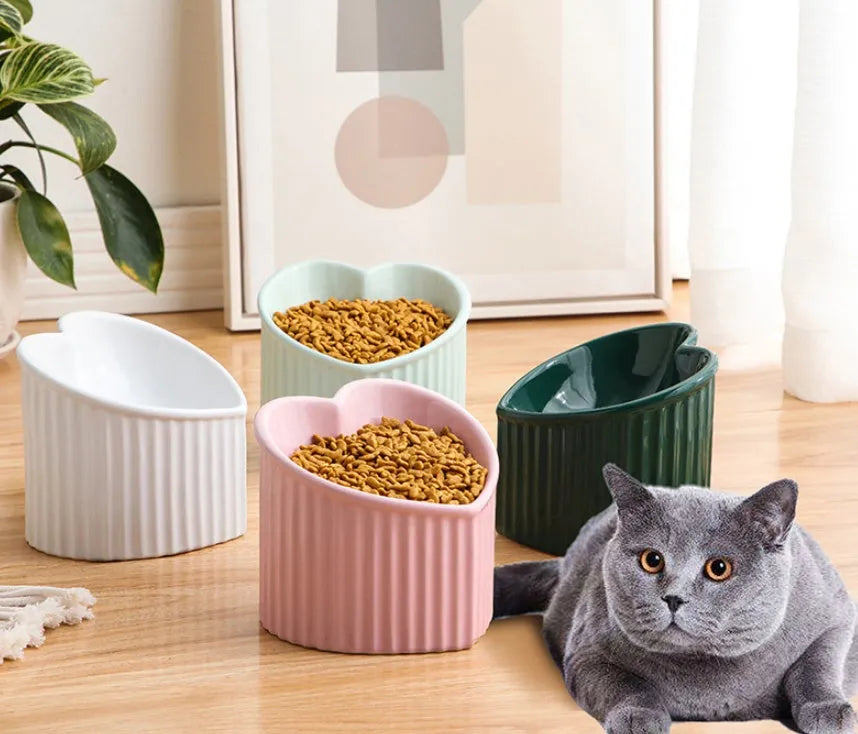 Close-up of a pink ceramic pet bowl with a slanted rim, showing the inclined feeding surface against a clean background.
