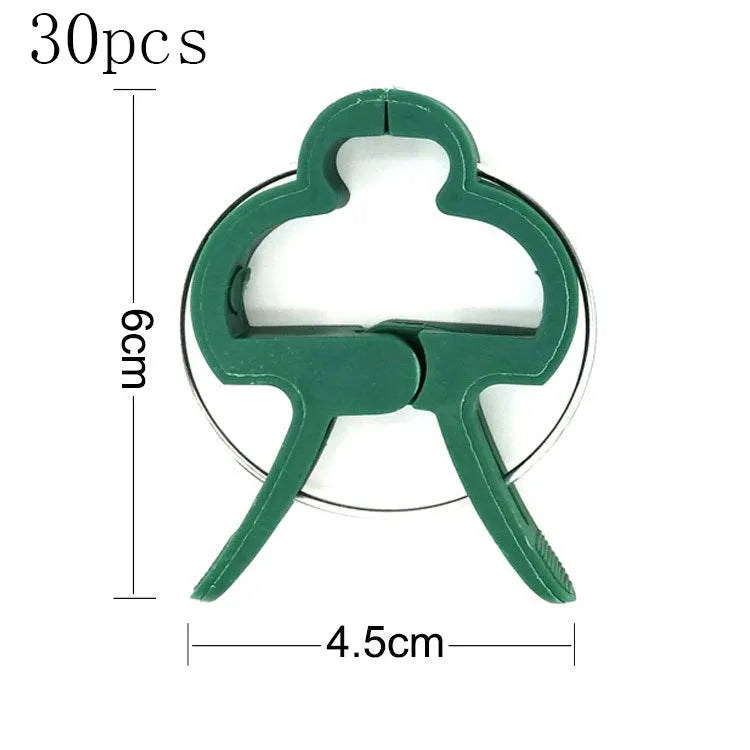 Green plastic and zinc plant fixing clips, showing large and small sizes for garden vine support.