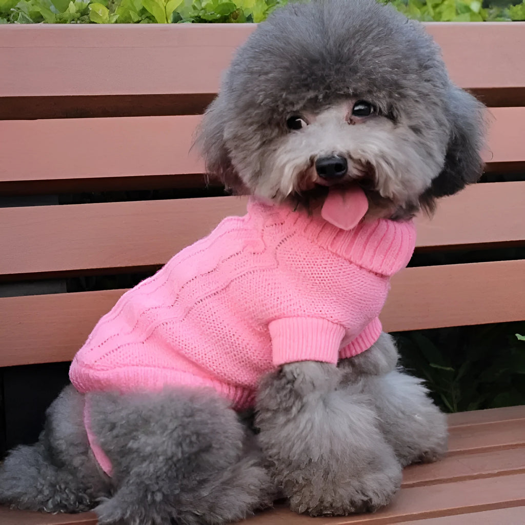 Knitted wool dog sweater with fabric buttons in assorted colours, sizes XS to XXL