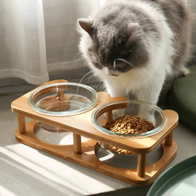 Clear glass cat bowl with 14.7cm diameter and 480ml capacity on stainless steel stand
