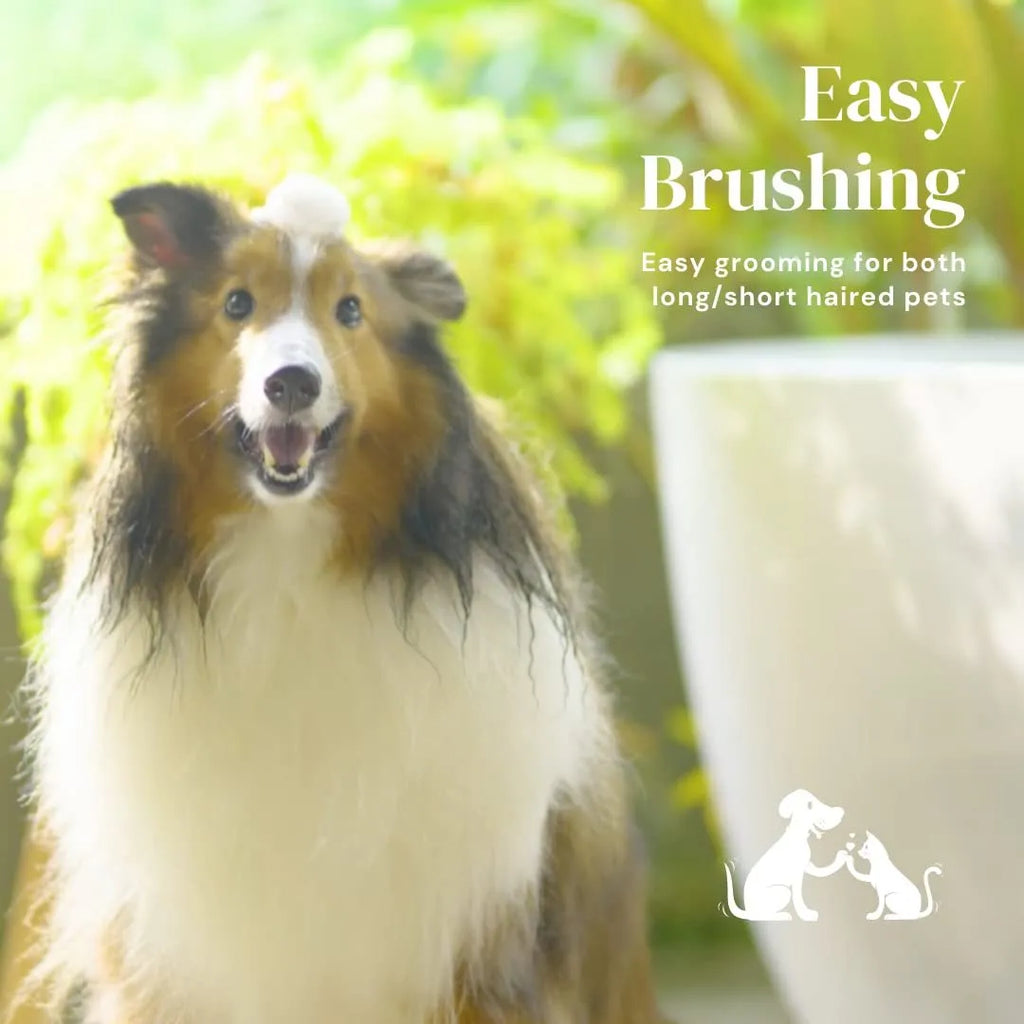 Self-cleaning slicker brush for pet grooming with ergonomic rubber handle in blue, grey, or pink