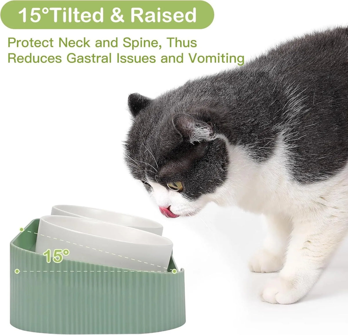 Ceramic elevated cat bowls with 15° tilted stand, green colour, non-slip base, 33x17x6 cm