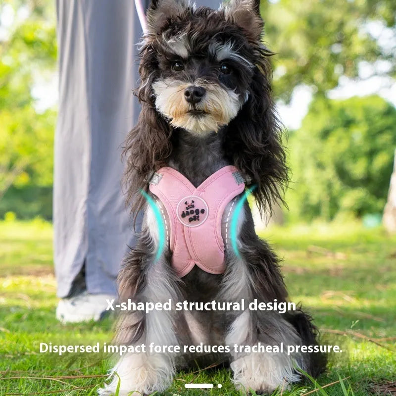 Polyester dog vest and hand holding rope set in blue, green, pink or yellow colour options