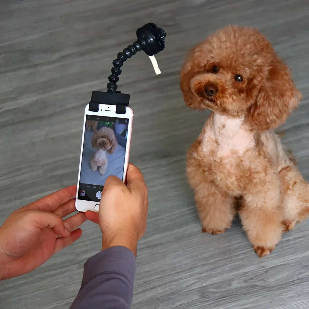 Black and white pet selfie stick with square and flower clips for pet photography