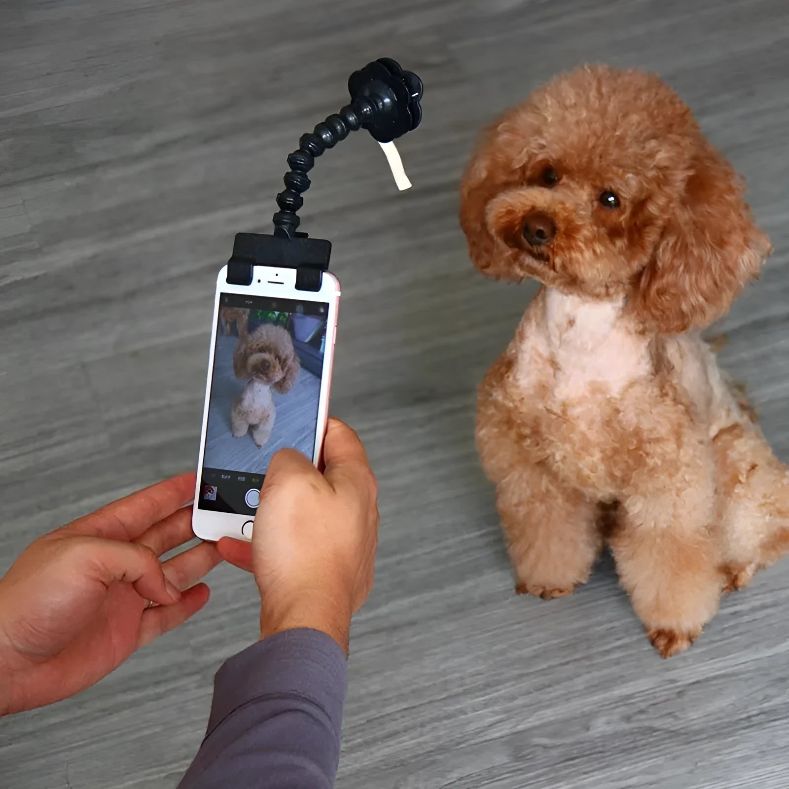 Black and white pet selfie stick with square and flower clips for pet photography