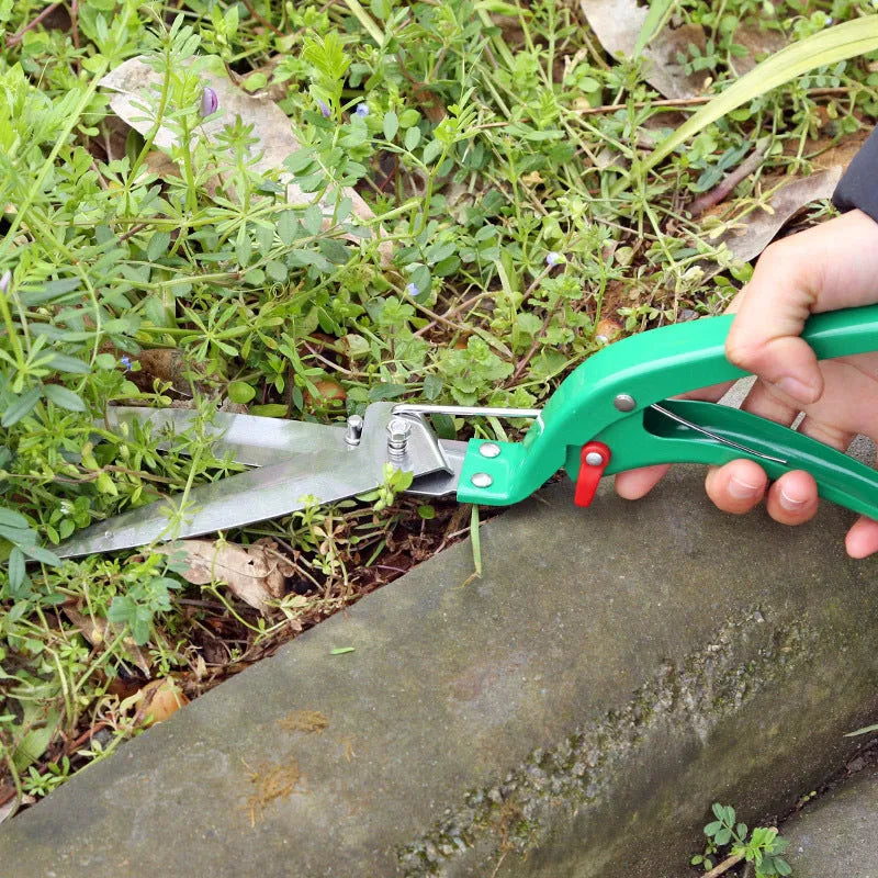 Ten-piece gardening tool set with iron heads and plastic handles, green colour option