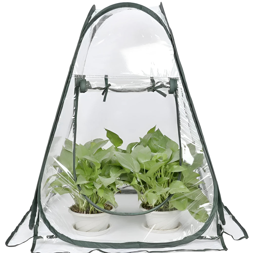 Transparent PVC conservatory tent 90 cm outer size protecting garden plants from frost, with ground nails visible