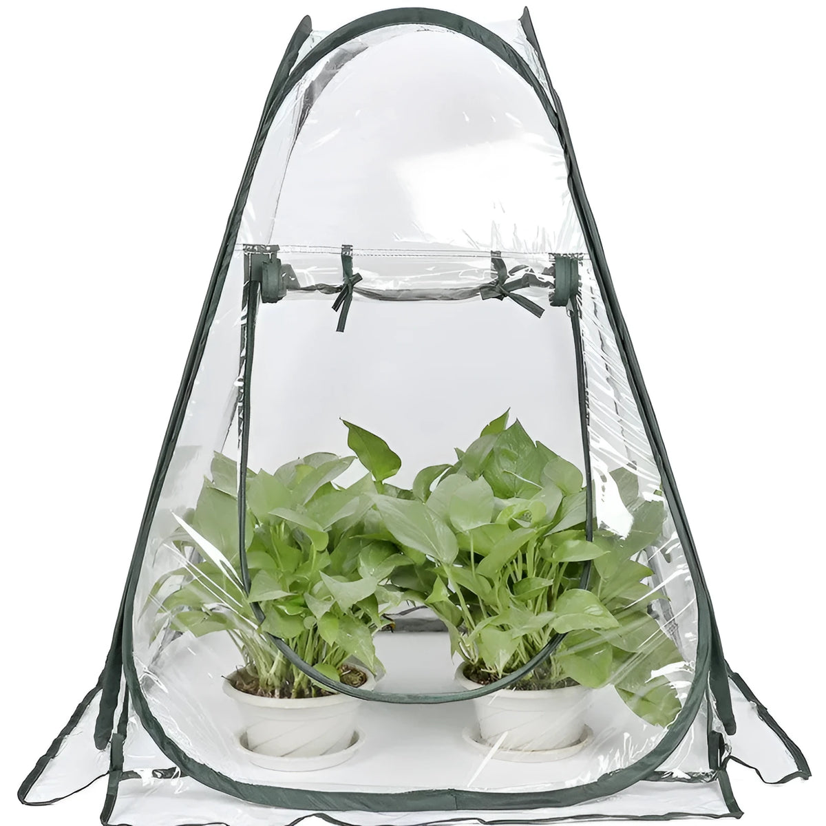 Transparent PVC conservatory tent 90 cm outer size protecting garden plants from frost, with ground nails visible