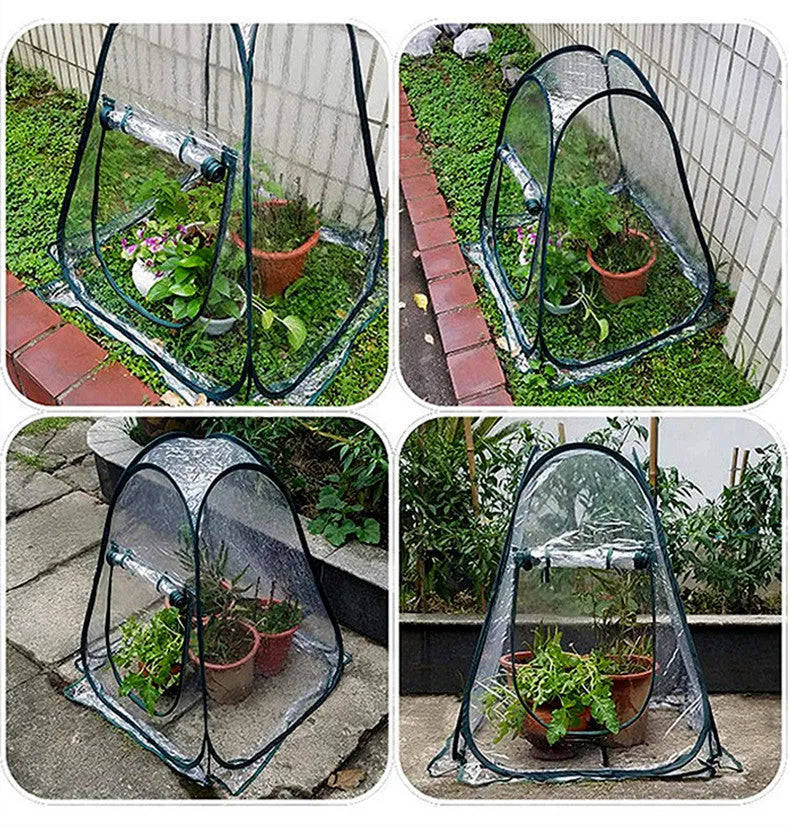 Transparent PVC conservatory tent 90 cm outer size protecting garden plants from frost, with ground nails visible