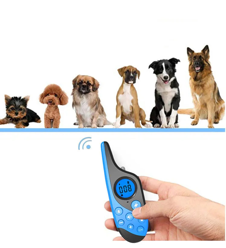 Blue rechargeable remote control dog training collar with adjustable collar and remote control on a white background