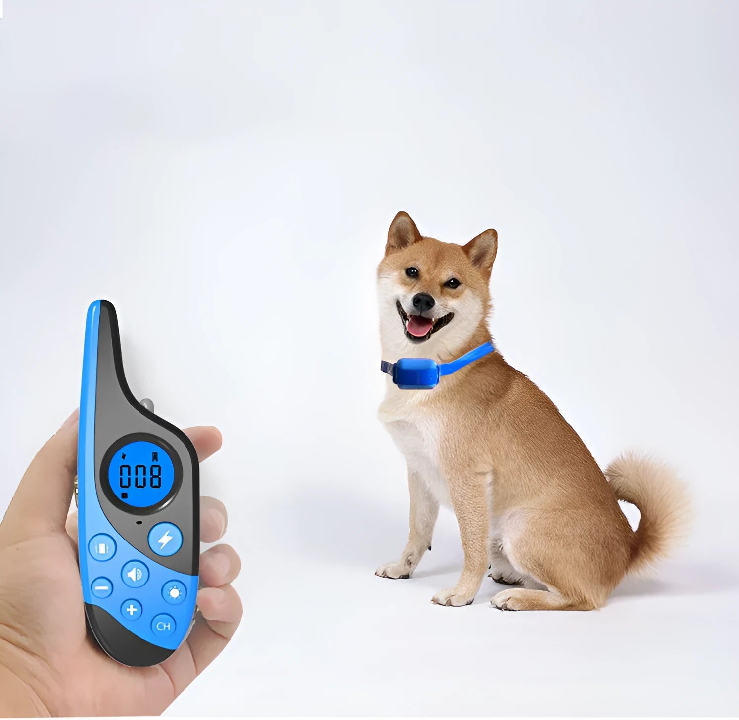 Blue rechargeable remote control dog training collar with adjustable collar and remote control on a white background