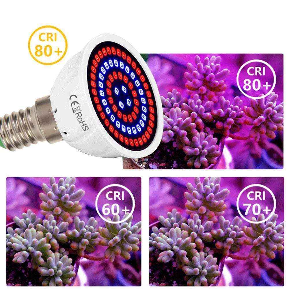 White LED plant growth lamp with 80 beads providing 180° coverage for indoor potted plants up to 80 square centimetres.