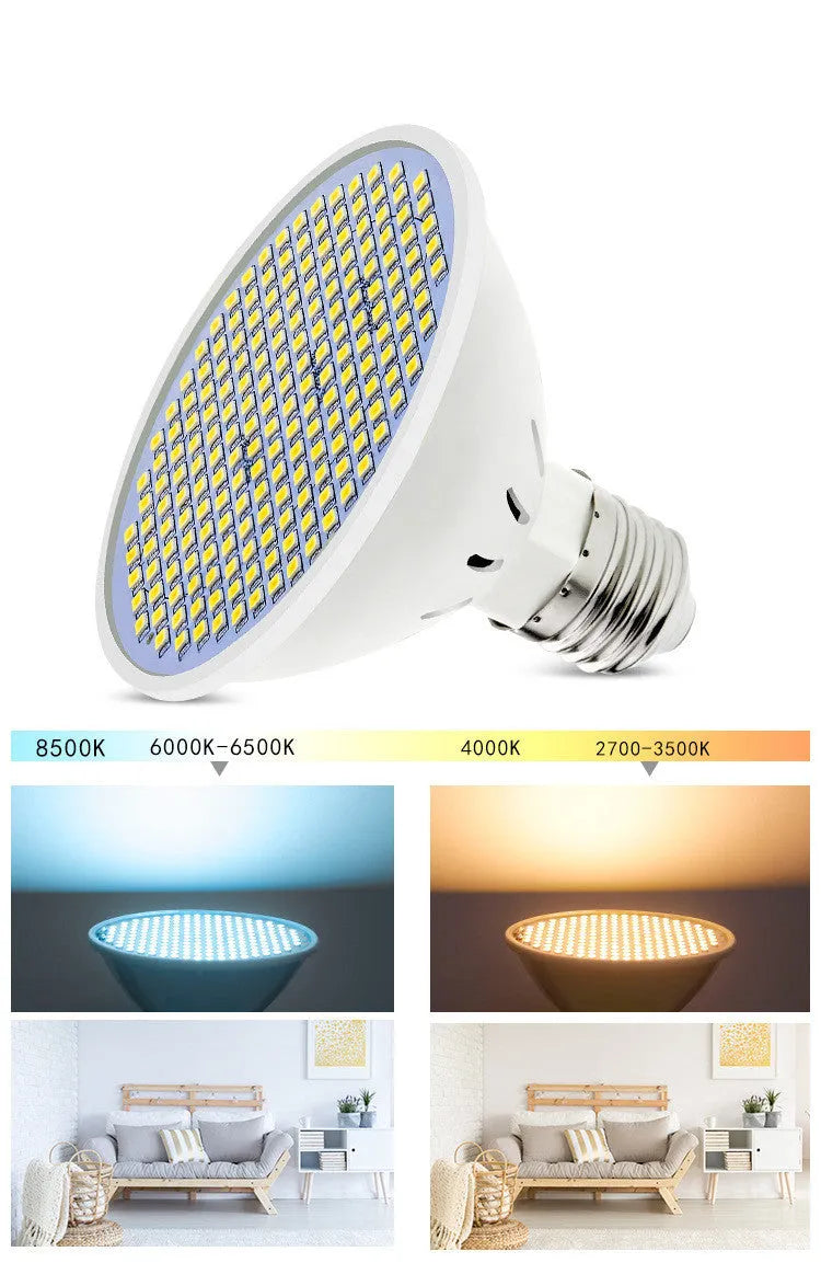 E27 screw base LED light bulb showing cool white and warm white colour options.