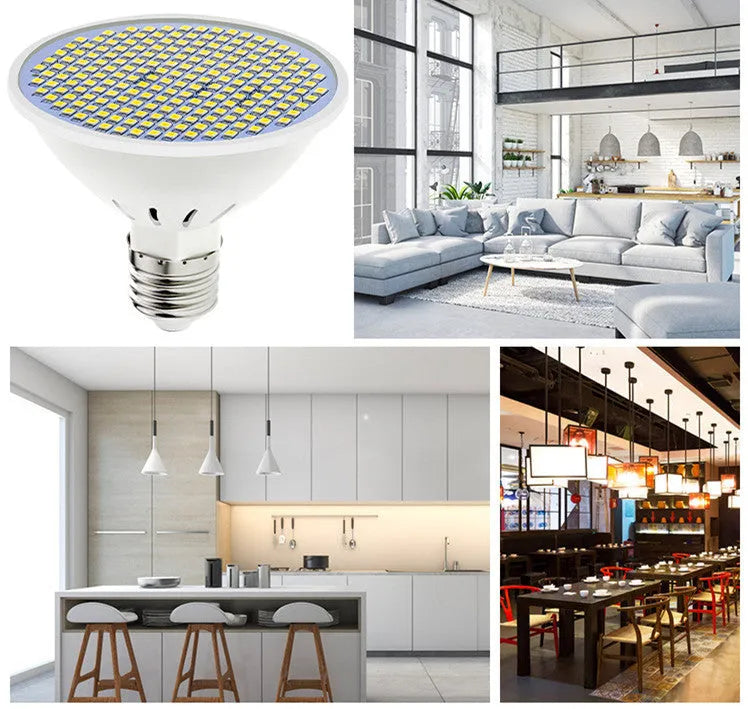 E27 screw base LED light bulb showing cool white and warm white colour options.