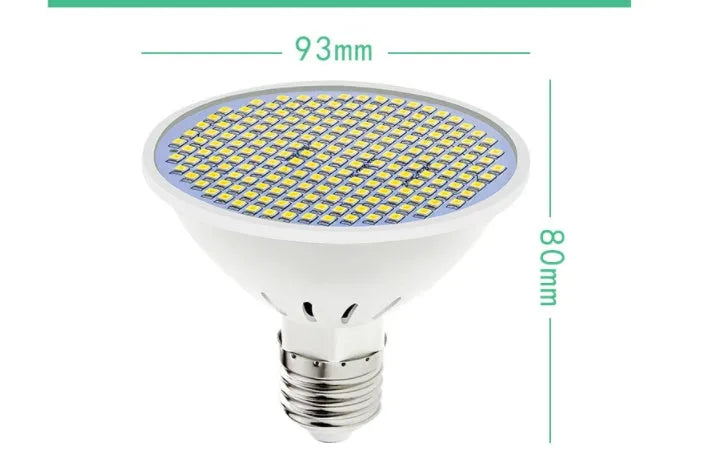 E27 screw base LED light bulb showing cool white and warm white colour options.