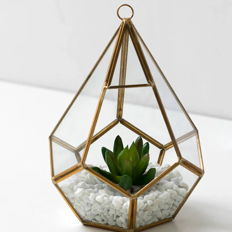 Square metal-framed glass succulent planter in two size options for home decoration.