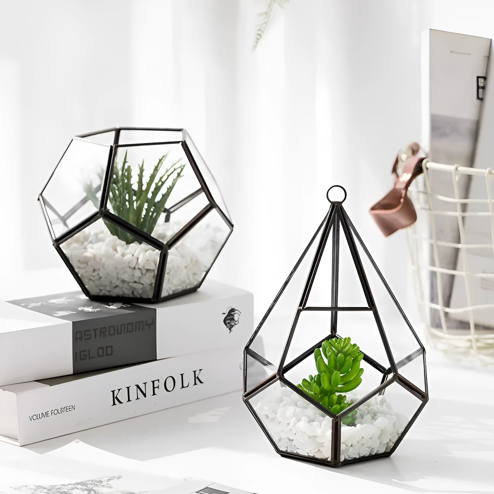Square metal-framed glass succulent planter in two size options for home decoration.