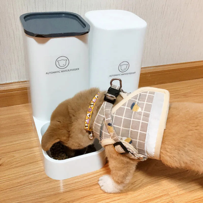 Automatic feeding artifact for cats and dogs made from PP plastic with 3.8L capacity