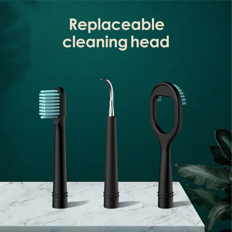 Household dental scaler kit with handle, three cleaning heads, storage tray, and USB charging cable.
