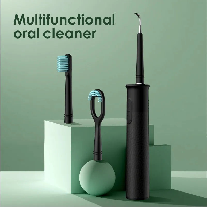 Household dental scaler kit with handle, three cleaning heads, storage tray, and USB charging cable.