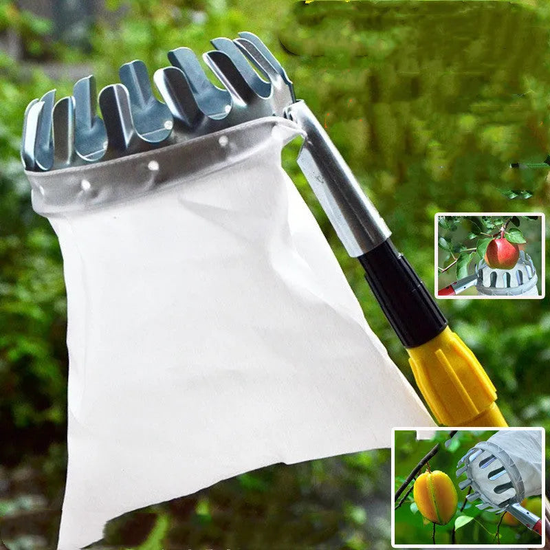 Steel frame fruit picker with cloth catcher bag for harvesting citrus, pears, and peaches