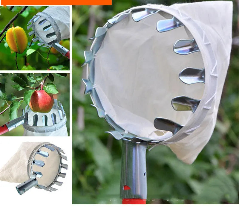 Steel frame fruit picker with cloth catcher bag for harvesting citrus, pears, and peaches