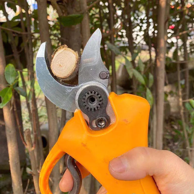 Electric garden branch shears with lithium battery for fruit tree pruning