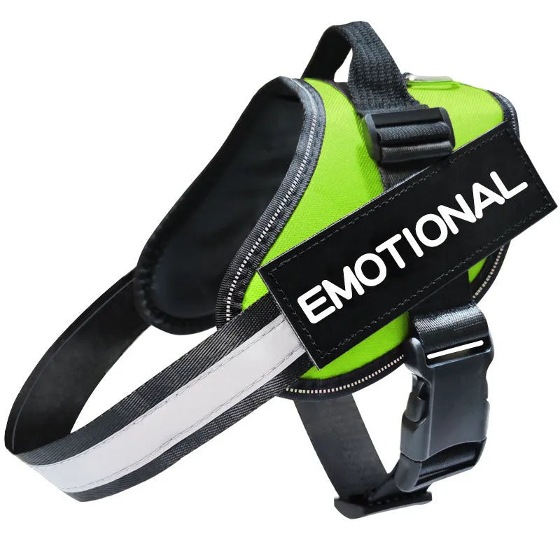 Reflective dog leash and harness set in black polyester with adjustable chest strap on a neutral background