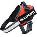 Reflective dog leash and harness set in black polyester with adjustable chest strap on a neutral background