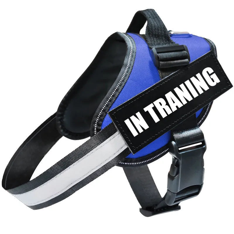 Reflective dog leash and harness set in black polyester with adjustable chest strap on a neutral background