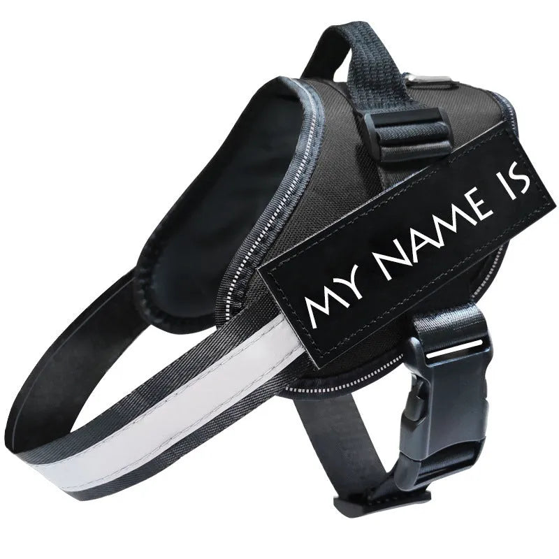 Reflective dog leash and harness set in black polyester with adjustable chest strap on a neutral background